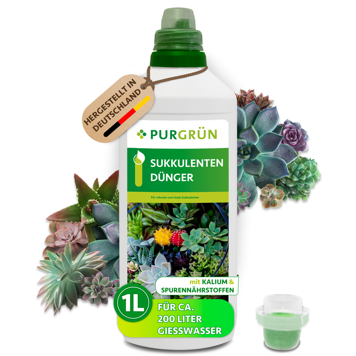 Purgrün Sukkulenten-Dünger in der 1-Liter-Flasche mit Dosierkappe, umgeben von Sukkulenten; reicht für ca. 200 Liter Gießwasser.