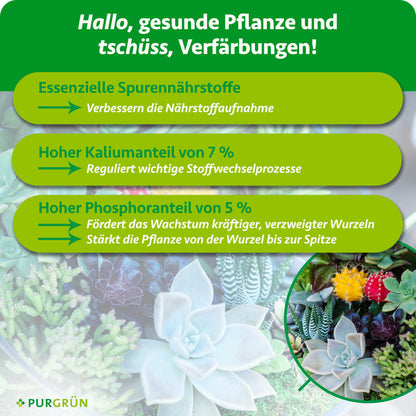 Spurennährstoffe verbessern die Nährstoffaufnahme, 7 % Kalium regulieren Stoffwechselprozesse und 5 % Phosphor fördern kräftige, verzweigte Wurzeln.