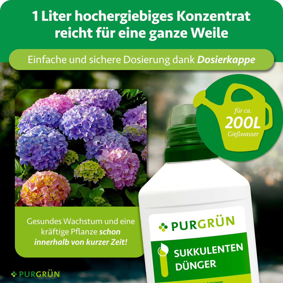 1 Liter hochergiebiges Konzentrat mit Dosierkappe reicht für ca. 200 Liter Gießwasser; daneben sind die Flasche und blühende Hortensien zu sehen.