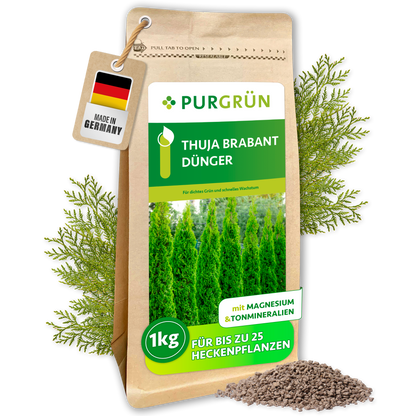Purgrün Thuja-Brabant-Dünger im 1-kg-Beutel, mit Magnesium und Tonmineralien, für bis zu 25 Heckenpflanzen.