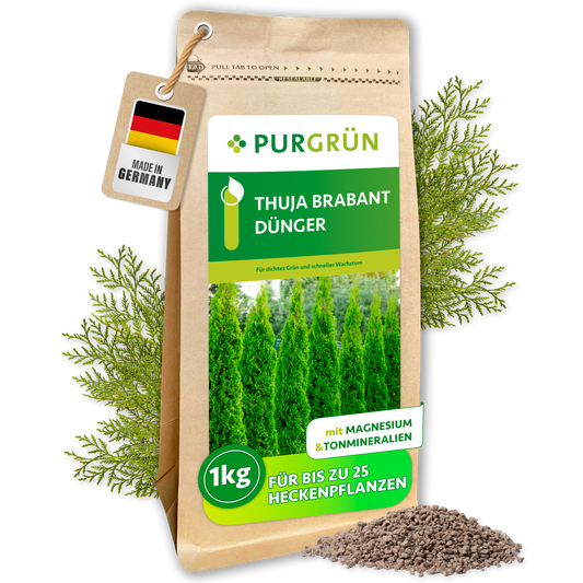 Purgrün Thuja-Brabant-Dünger im 1-kg-Beutel, mit Magnesium und Tonmineralien, für bis zu 25 Heckenpflanzen.