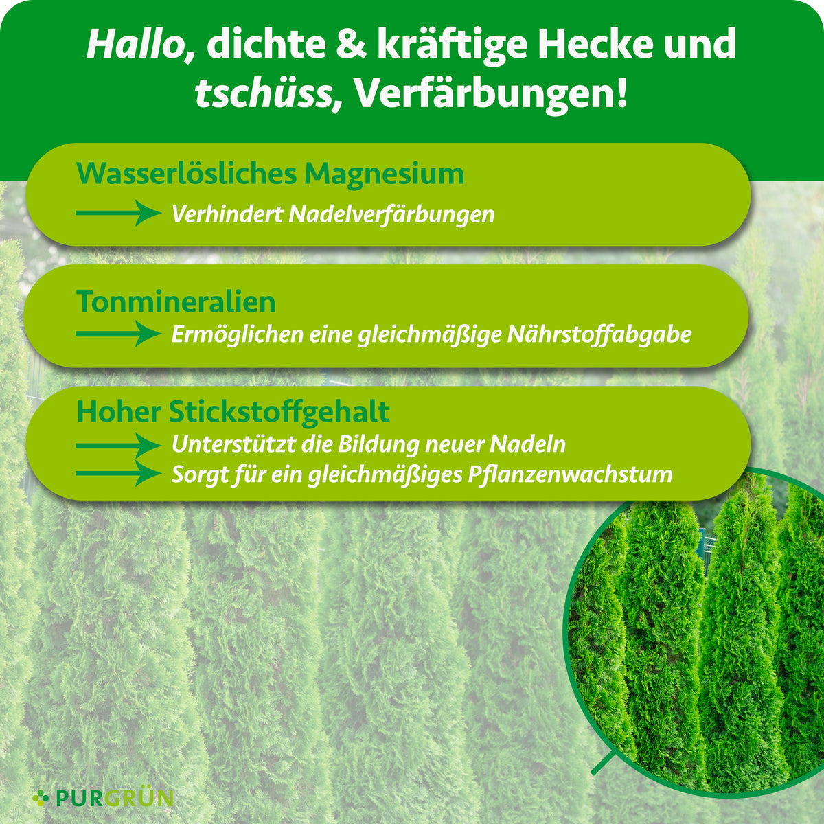 Wasserlösliches Magnesium verhindert Nadelverfärbungen, Tonmineralien ermöglichen eine gleichmäßige Nährstoffabgabe und Stickstoff unterstützt neue Nadeln sowie gleichmäßiges Wachstum.