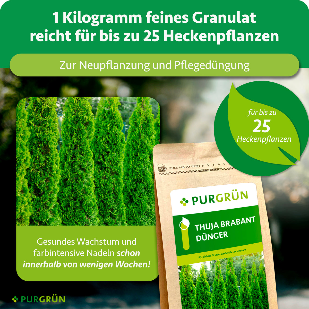 1 kg feines Granulat reicht bei Neu- und Pflegedüngung für bis zu 25 Heckenpflanzen.
