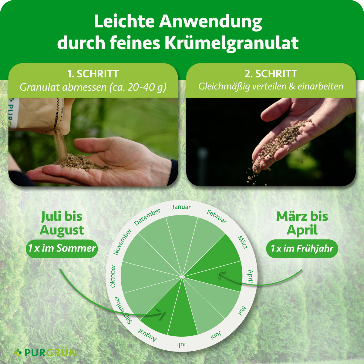Je Pflanze etwa 20–40 g Granulat abmessen, gleichmäßig verteilen und einarbeiten; einmal im März bis April und einmal im Juli bis August düngen.