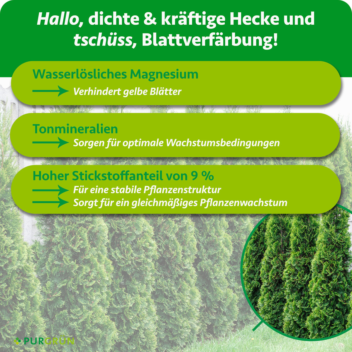 Wasserlösliches Magnesium verhindert gelbe Blätter, Tonmineralien sorgen für optimale Wachstumsbedingungen. 9 % Stickstoff unterstützen eine stabile Pflanzenstruktur und gleichmäßiges Wachstum.