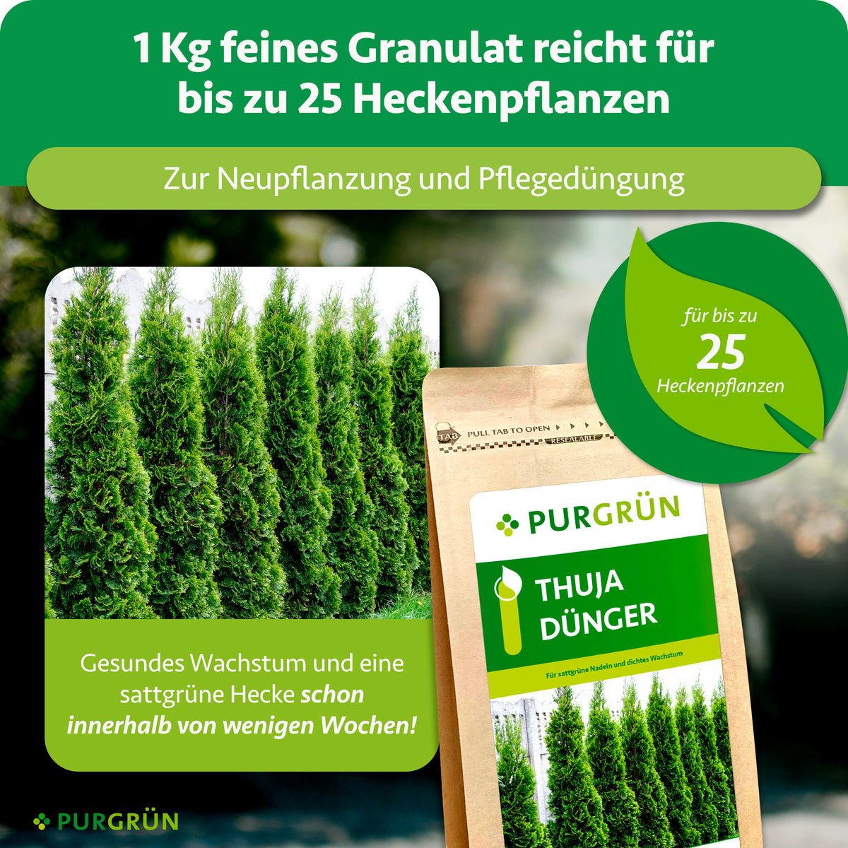 1 kg feines Granulat reicht zur Neu- und Pflegedüngung für bis zu 25 Heckenpflanzen und fördert eine sattgrüne Hecke innerhalb weniger Wochen.