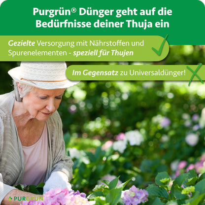 Purgrün Thuja-Dünger versorgt Thujen gezielt mit Nährstoffen und Spurenelementen statt mit Universaldünger; eine ältere Frau arbeitet im Garten.
