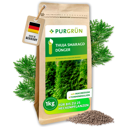 Purgrün Thuja-Smaragd-Dünger, 1 kg, vor Thuja-Zweigen und Granulat; mit Magnesium und Tonmineralien für bis zu 25 Heckenpflanzen.