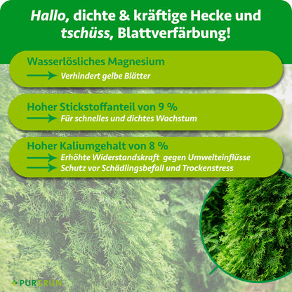 Wasserlösliches Magnesium verhindert gelbe Blätter, 9 % Stickstoff fördert schnelles, dichtes Wachstum und 8 % Kalium erhöht die Widerstandskraft gegen Umwelteinflüsse, Schädlingsbefall und Trockenstress.