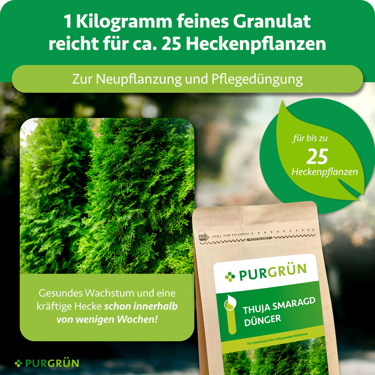 1 kg feines Granulat reicht für ca. 25 Heckenpflanzen und dient zur Neupflanzung und Pflegedüngung; gesundes Wachstum wird innerhalb weniger Wochen versprochen.