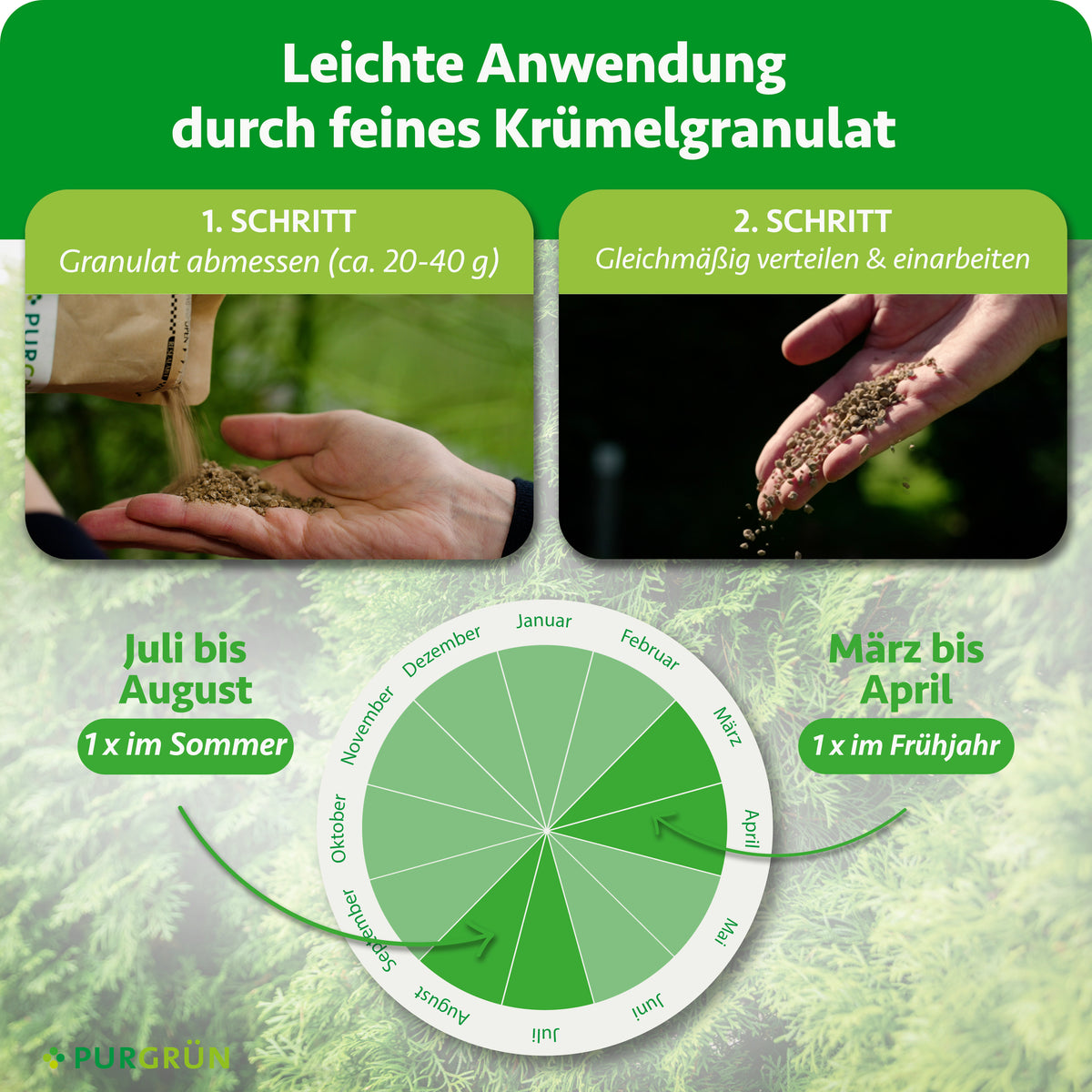 Anwendung: ca. 20–40 g Granulat abmessen, gleichmäßig verteilen und einarbeiten. Je 1 x im Frühjahr von März bis April und 1 x im Sommer von Juli bis August düngen.