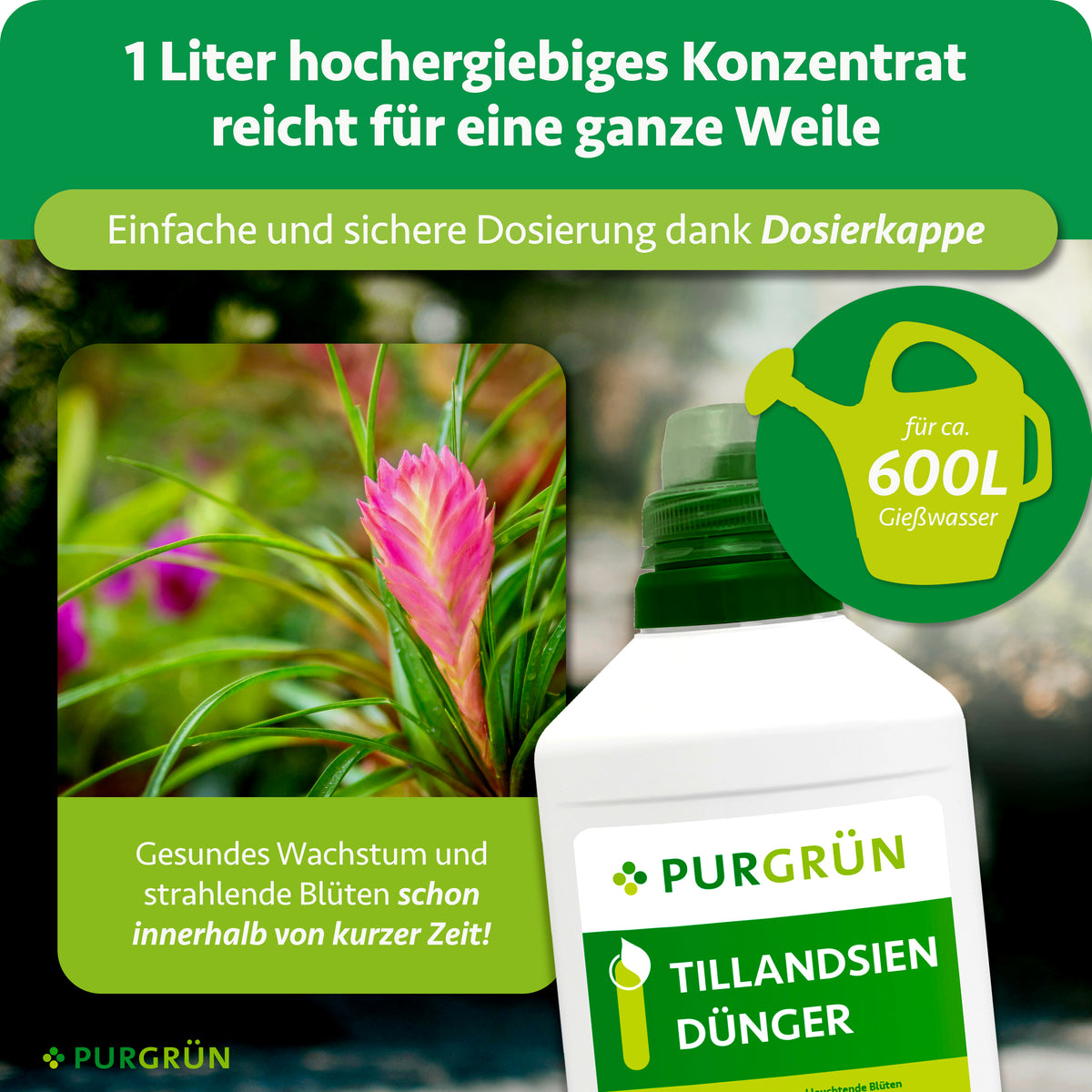 1 Liter hochergiebiges Konzentrat für ca. 600 Liter Gießwasser, mit Dosierkappe zur einfachen und sicheren Dosierung.