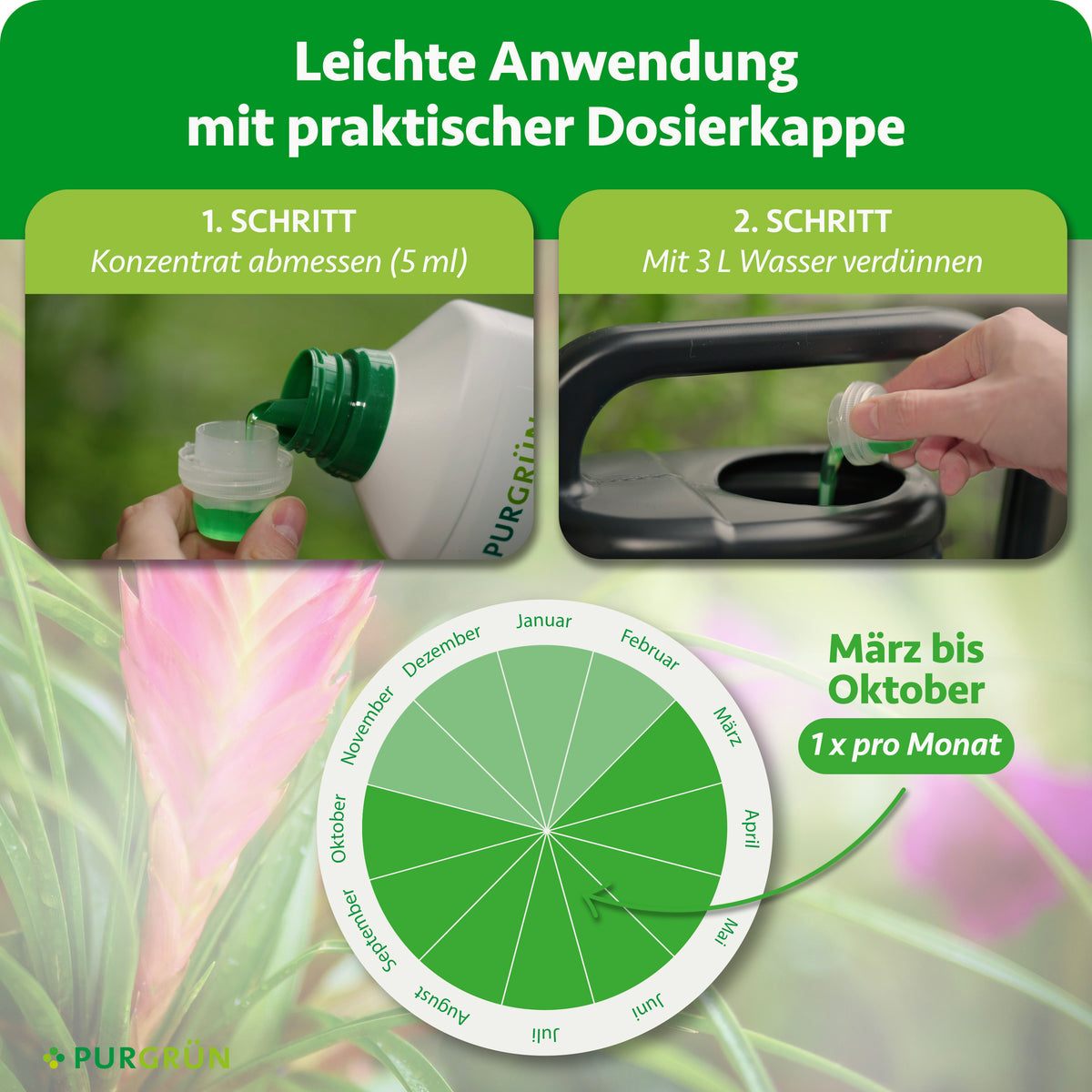 Anwendung: 5 ml Konzentrat mit 3 Litern Wasser verdünnen und von März bis Oktober einmal pro Monat düngen.