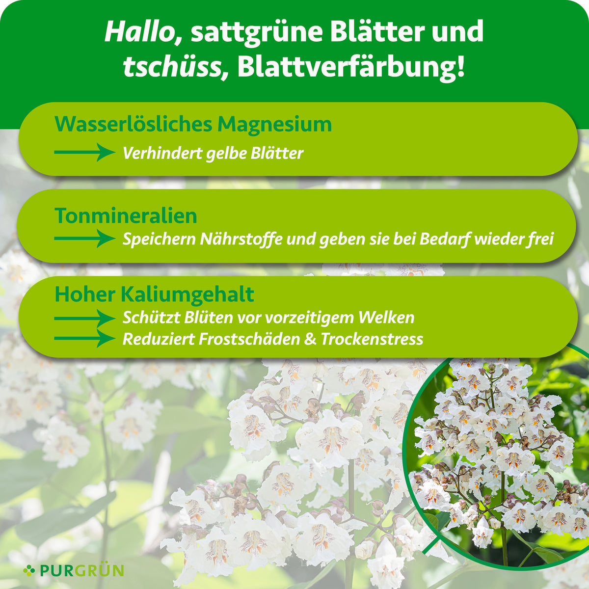 Wasserlösliches Magnesium verhindert gelbe Blätter, Tonmineralien speichern Nährstoffe und geben sie bei Bedarf frei. Hoher Kaliumgehalt schützt Blüten vor vorzeitigem Welken und reduziert Frostschäden sowie Trockenstress.