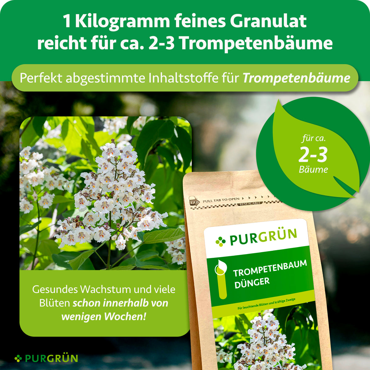 1 kg feines Granulat reicht für ca. 2–3 Trompetenbäume und enthält auf sie abgestimmte Inhaltsstoffe. Gesundes Wachstum und viele Blüten schon innerhalb weniger Wochen.
