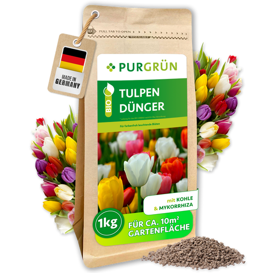 Purgrün Bio-Tulpendünger im 1-kg-Beutel, mit Kohle und Mykorrhiza für ca. 10 m² Gartenfläche.