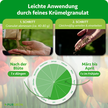 Ca. 40–80 g Granulat abmessen, gleichmäßig verteilen und einarbeiten. Einmal von März bis April und einmal nach der Blüte düngen.