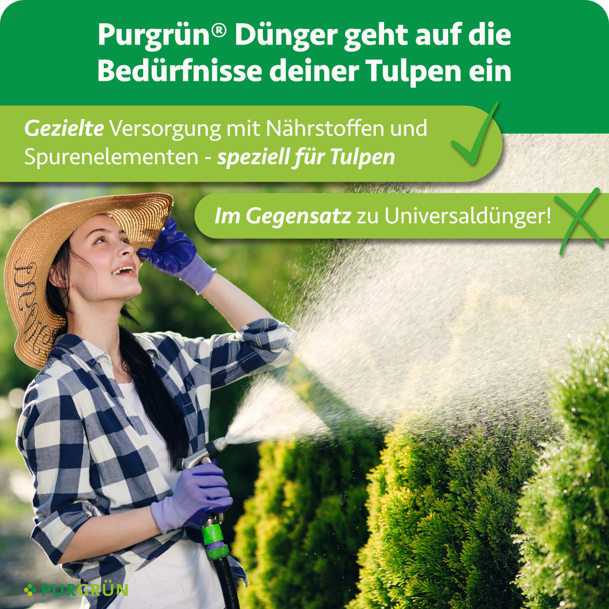 Der Dünger versorgt Tulpen gezielt mit Nährstoffen und Spurenelementen und ist im Gegensatz zu Universaldünger speziell auf Tulpen abgestimmt.