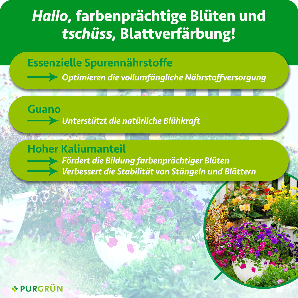 Essenzielle Spurennährstoffe optimieren die Nährstoffversorgung, Guano unterstützt die natürliche Blühkraft. Ein hoher Kaliumanteil fördert farbenprächtige Blüten und stabile Stängel und Blätter.