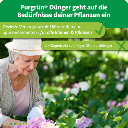 Eine Frau pflegt blühende Hortensien; Purgrün-Dünger bietet gezielte Nährstoff- und Spurenelementversorgung für alle Blumen und Pflanzen.