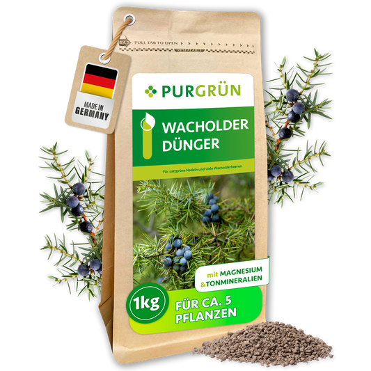Purgrün Wacholder-Dünger im 1-kg-Beutel mit Wacholderzweigen und feinem Granulat; ausreichend für ca. 5 Pflanzen.