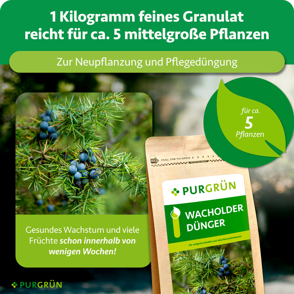 1 Kilogramm feines Granulat reicht für ca. 5 mittelgroße Pflanzen zur Neupflanzung und Pflegedüngung; gesundes Wachstum und viele Früchte schon innerhalb weniger Wochen.