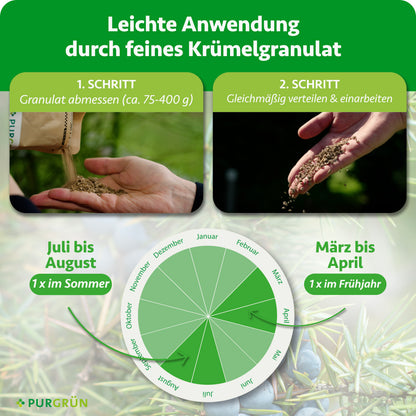 Anwendung: ca. 75–400 g Granulat abmessen, gleichmäßig verteilen und einarbeiten; je einmal von März bis April und von Juli bis August düngen.