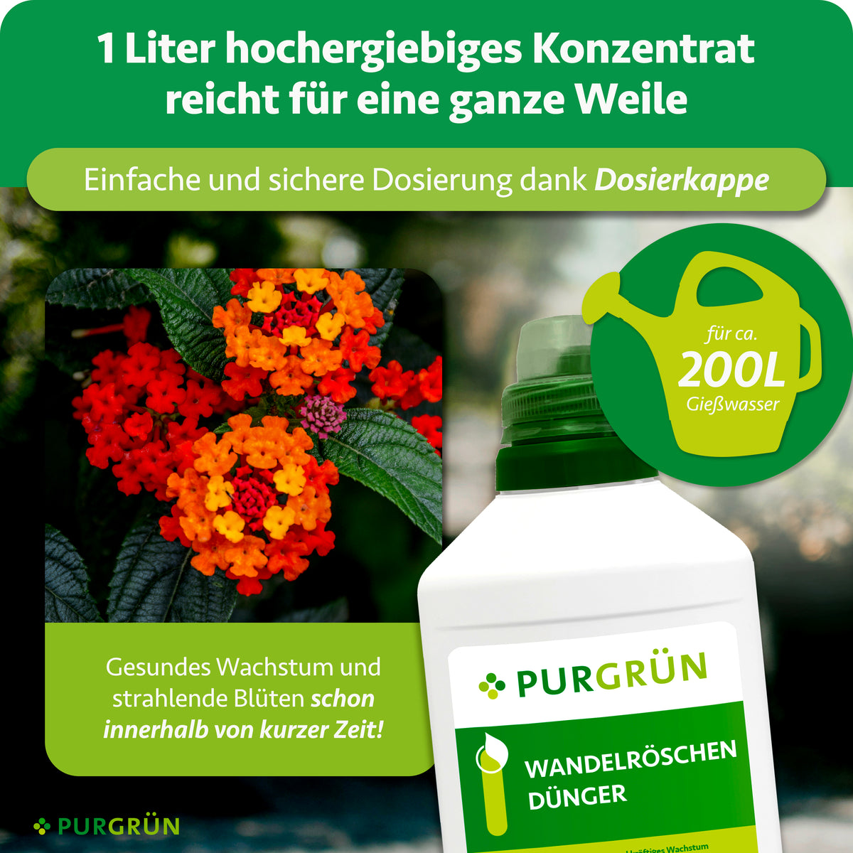 1 Liter Konzentrat mit Dosierkappe reicht für ca. 200 Liter Gießwasser und unterstützt gesundes Wachstum sowie strahlende Blüten.