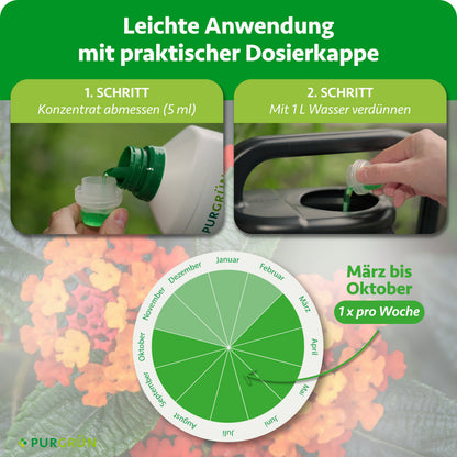 Anwendung: 5 ml Konzentrat abmessen, mit 1 Liter Wasser verdünnen und von März bis Oktober 1× pro Woche düngen.