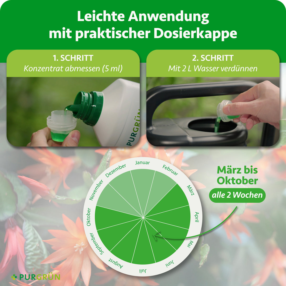 Anwendung: 5 ml Konzentrat abmessen, mit 2 L Wasser verdünnen und von März bis Oktober alle 2 Wochen anwenden.
