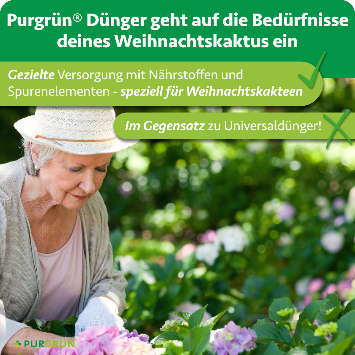Gezielte Versorgung mit Nährstoffen und Spurenelementen speziell für Weihnachtskakteen statt Universaldünger; eine ältere Frau arbeitet im blühenden Garten.