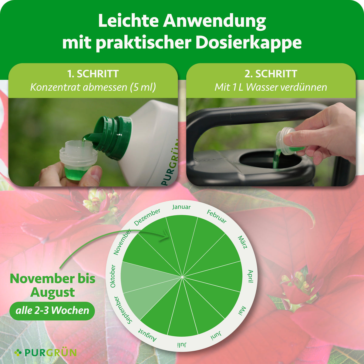 Anwendung: 5 ml Konzentrat abmessen, mit 1 Liter Wasser verdünnen und von November bis August alle 2–3 Wochen düngen.