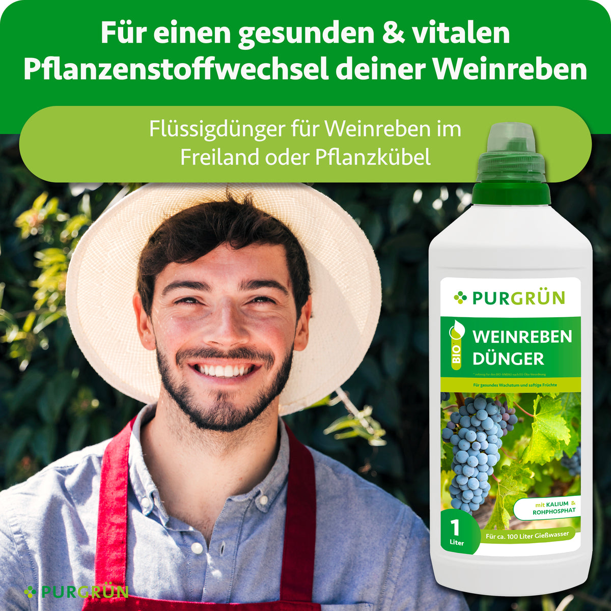 Ein lächelnder Mann in Schürze steht neben üppigen Weinreben. Davor steht eine Flasche Purgrün Bio-Weinreben-Dünger 1 Liter. Grüner Text weist auf die gesunde Ernährung der Weinreben hin.