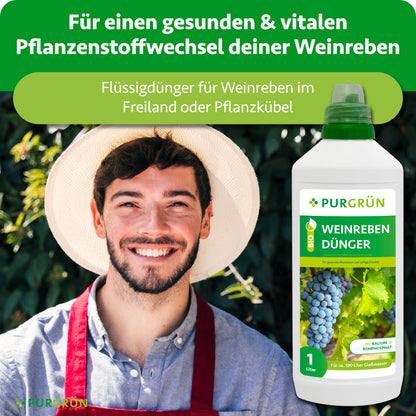 Ein lächelnder Mann in Schürze steht neben üppigen Weinreben. Davor steht eine Flasche Purgrün Bio-Weinreben-Dünger 1 Liter. Grüner Text weist auf die gesunde Ernährung der Weinreben hin.