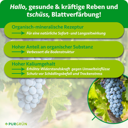 Eine Traube reifer Weintrauben hängt an einer Rebe mit grünen Blättern. Eingelegter Text wirbt für Purgrün Bio-Weinreben-Dünger 1 Liter, einen organisch-mineralischen Dünger mit NPK 3+2+6 für gesunde Reben. Das Purgrün-Logo erscheint unten.