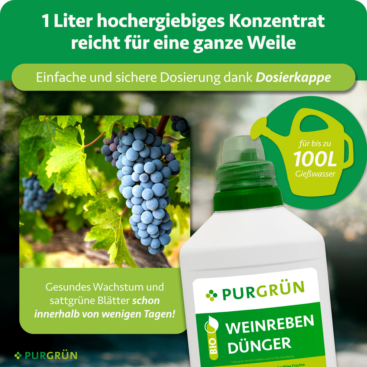 Eine Flasche Purgrün Bio-Weinreben-Dünger 1 Liter ist mit grünen Trauben abgebildet. Der Text weist auf das NPK-Verhältnis von 3+2+6 hin; 1 Liter ergibt bis zu 100 Liter für gesundes Wachstum innerhalb weniger Tage. Eine Gießkannengrafik ist ebenfalls enthalten.