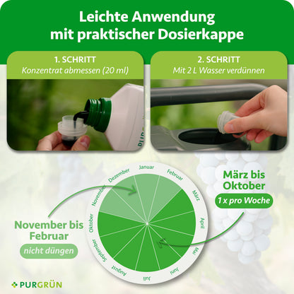 20 ml Bio-Weinreben-Dünger abmessen und mit 2 L Wasser verdünnen; von März bis Oktober 1x pro Woche, von November bis Februar nicht düngen.