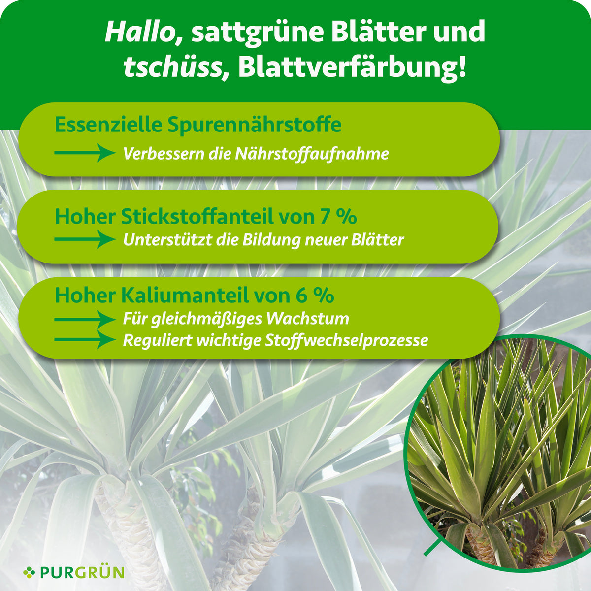 Essenzielle Spurennährstoffe verbessern die Nährstoffaufnahme. 7 % Stickstoff unterstützen die Bildung neuer Blätter, 6 % Kalium gleichmäßiges Wachstum und wichtige Stoffwechselprozesse.