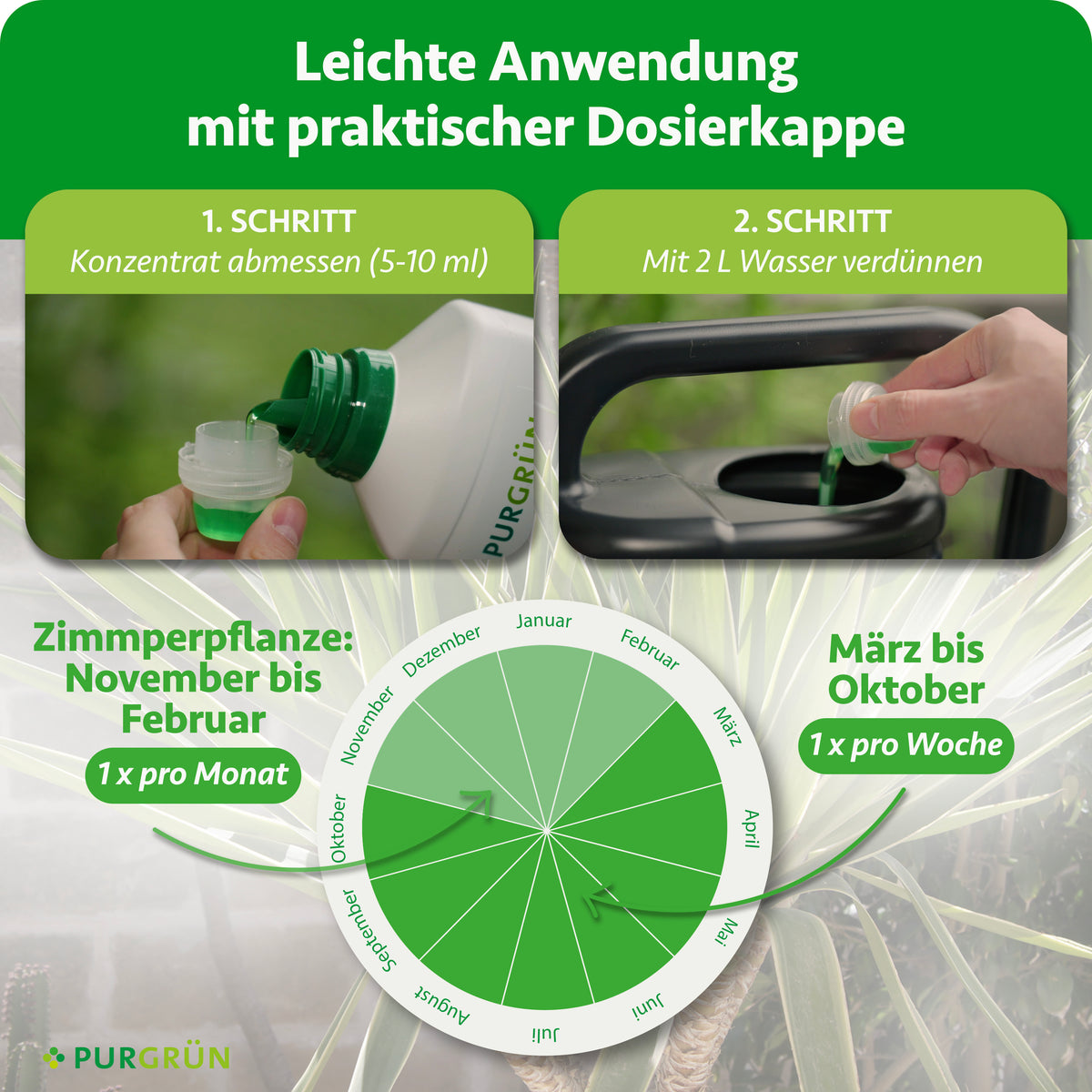 Anwendung: 5–10 ml Konzentrat abmessen und mit 2 Litern Wasser verdünnen. Zimmerpflanzen von November bis Februar einmal monatlich, von März bis Oktober einmal wöchentlich düngen.