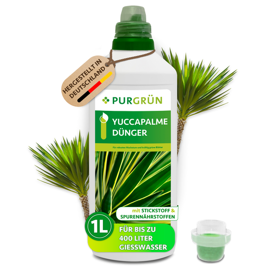 Purgrün Yucca-Palme-Dünger, 1 Liter, mit Dosierkappe; Konzentrat für bis zu 400 Liter Gießwasser.