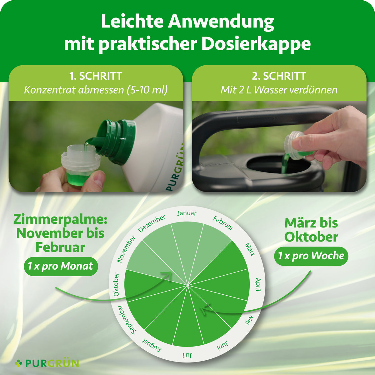 Anwendung: 5–10 ml Konzentrat abmessen und mit 2 L Wasser verdünnen. Zimmerpalmen von November bis Februar 1 × pro Monat, von März bis Oktober 1 × pro Woche düngen.