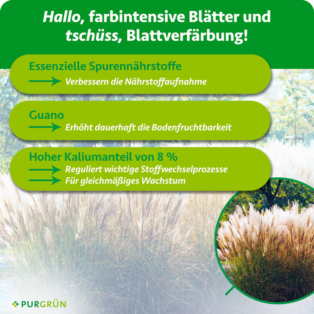 Essenzielle Spurennährstoffe verbessern die Nährstoffaufnahme, Guano erhöht dauerhaft die Bodenfruchtbarkeit und 8 % Kalium fördern gleichmäßiges Wachstum.