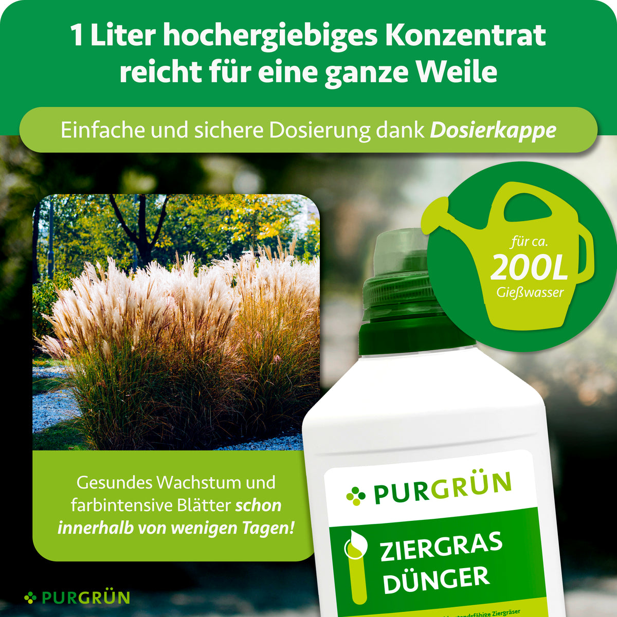 1 Liter Konzentrat mit Dosierkappe reicht für ca. 200 Liter Gießwasser und fördert gesundes Wachstum sowie farbintensive Blätter.