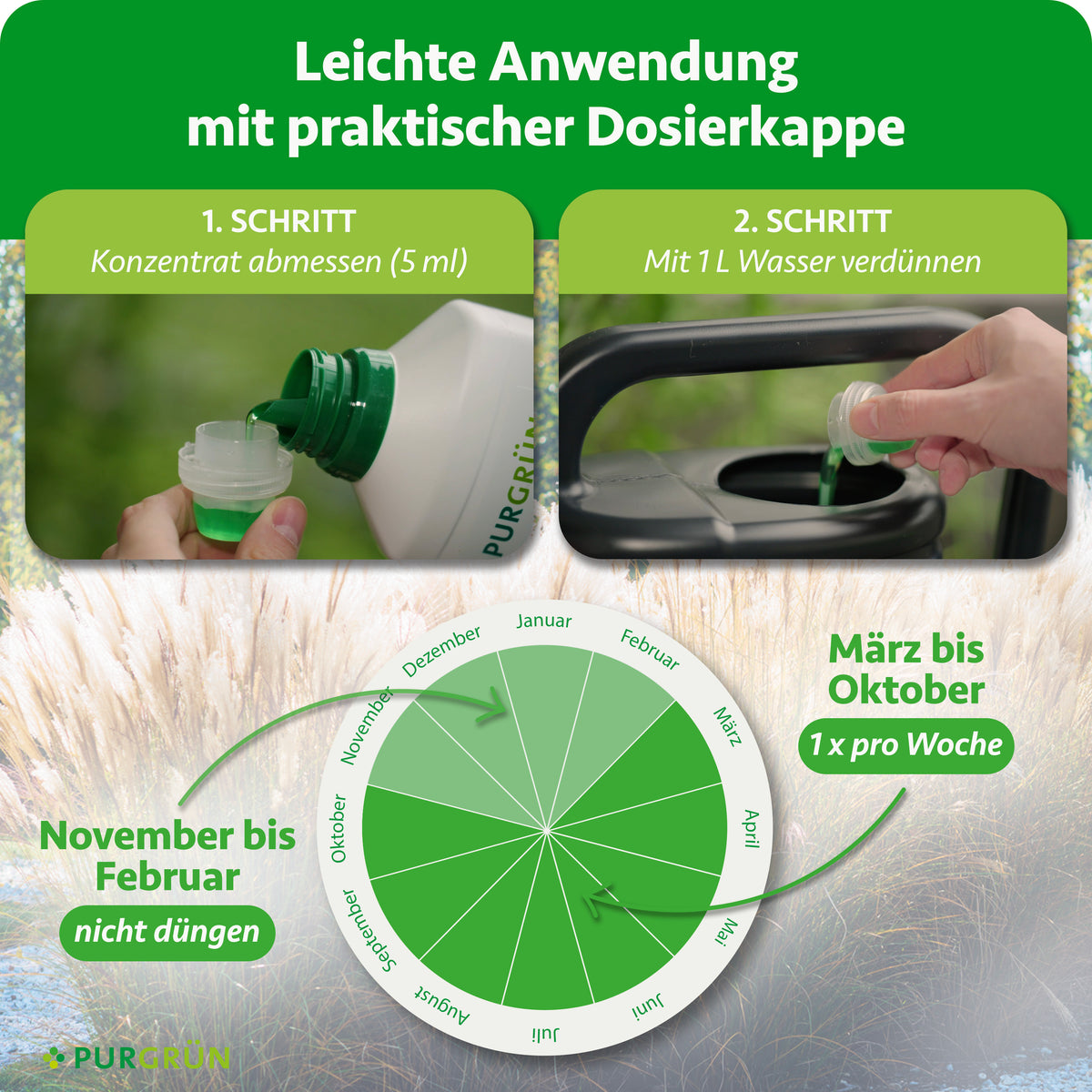 Anwendung: 5 ml Konzentrat mit 1 Liter Wasser verdünnen und von März bis Oktober einmal pro Woche düngen; von November bis Februar nicht düngen.