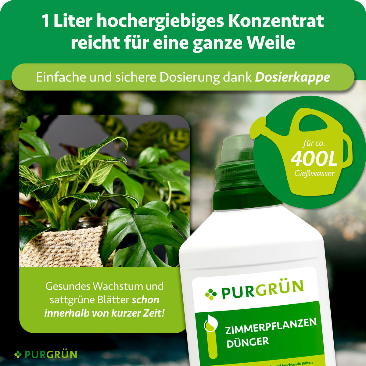 1 Liter Konzentrat reicht für ca. 400 Liter Gießwasser und lässt sich dank Dosierkappe einfach und sicher dosieren. Hervorgehoben werden gesundes Wachstum und sattgrüne Blätter innerhalb kurzer Zeit.