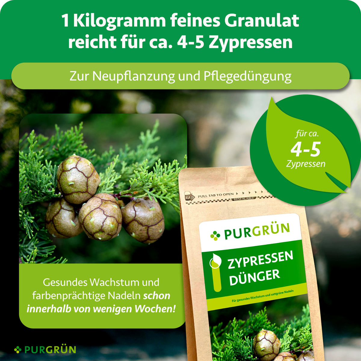 1 kg feines Granulat reicht für ca. 4–5 Zypressen zur Neupflanzung und Pflegedüngung; gesundes Wachstum und farbenprächtige Nadeln werden innerhalb weniger Wochen versprochen.