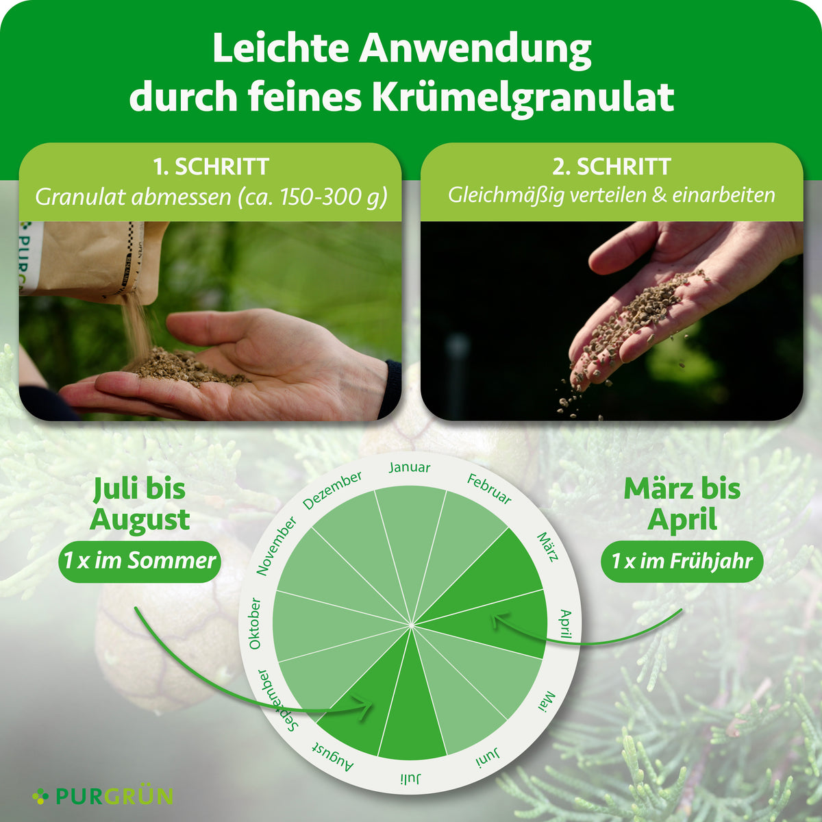 Anwendung in zwei Schritten: ca. 150–300 g Granulat abmessen, gleichmäßig verteilen und einarbeiten. Je einmal im März bis April und im Juli bis August düngen.