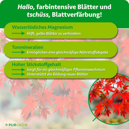 Wasserlösliches Magnesium hilft, gelbe Blätter zu verhindern, Tonmineralien ermöglichen eine gleichmäßige Nährstoffabgabe, hoher Stickstoffgehalt unterstützt gleichmäßiges Wachstum und neue Blätter.