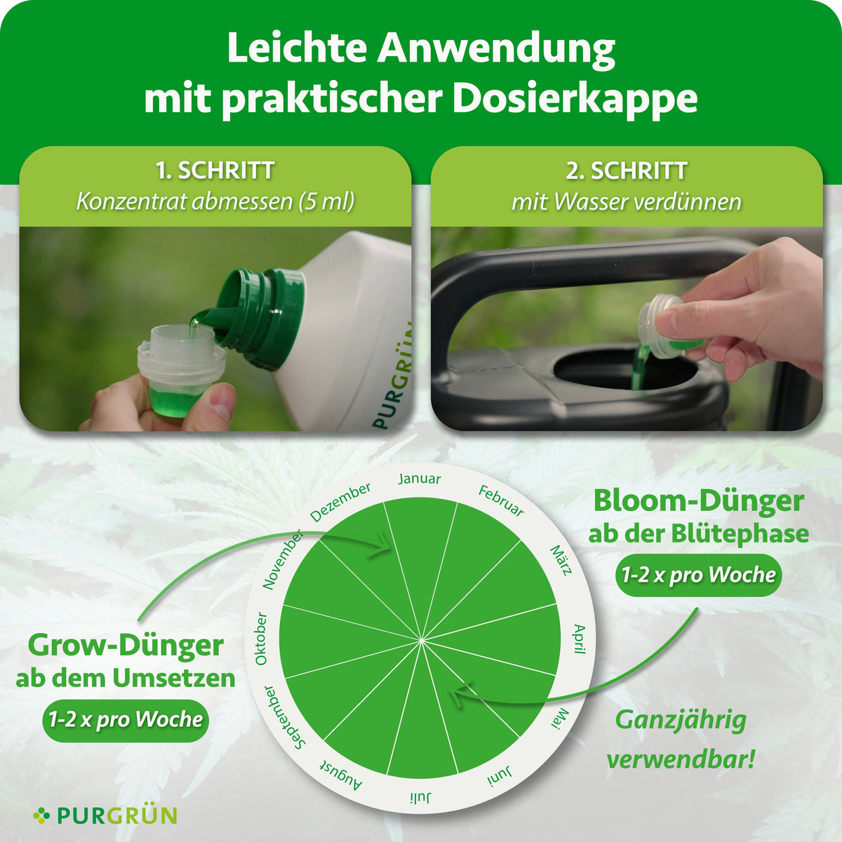Eine Hand gießt Purgrün Autoflower-Dünger-Set 2 x 1 Liter in einen grünen Verschluss und gibt Wasser hinzu. Eine Tabelle zeigt den monatlichen Verbrauch von Auto-Grow- und Bloom-Dünger. Der Text betont die einfache Anwendung und die ganzjährige Eignung.