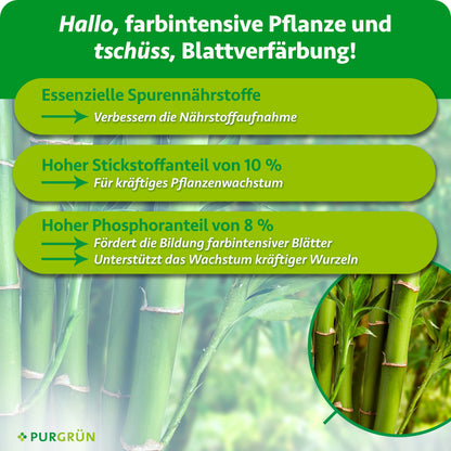 Spurennährstoffe verbessern die Nährstoffaufnahme; 10 % Stickstoff fördern kräftiges Wachstum, 8 % Phosphor farbintensive Blätter und kräftige Wurzeln.